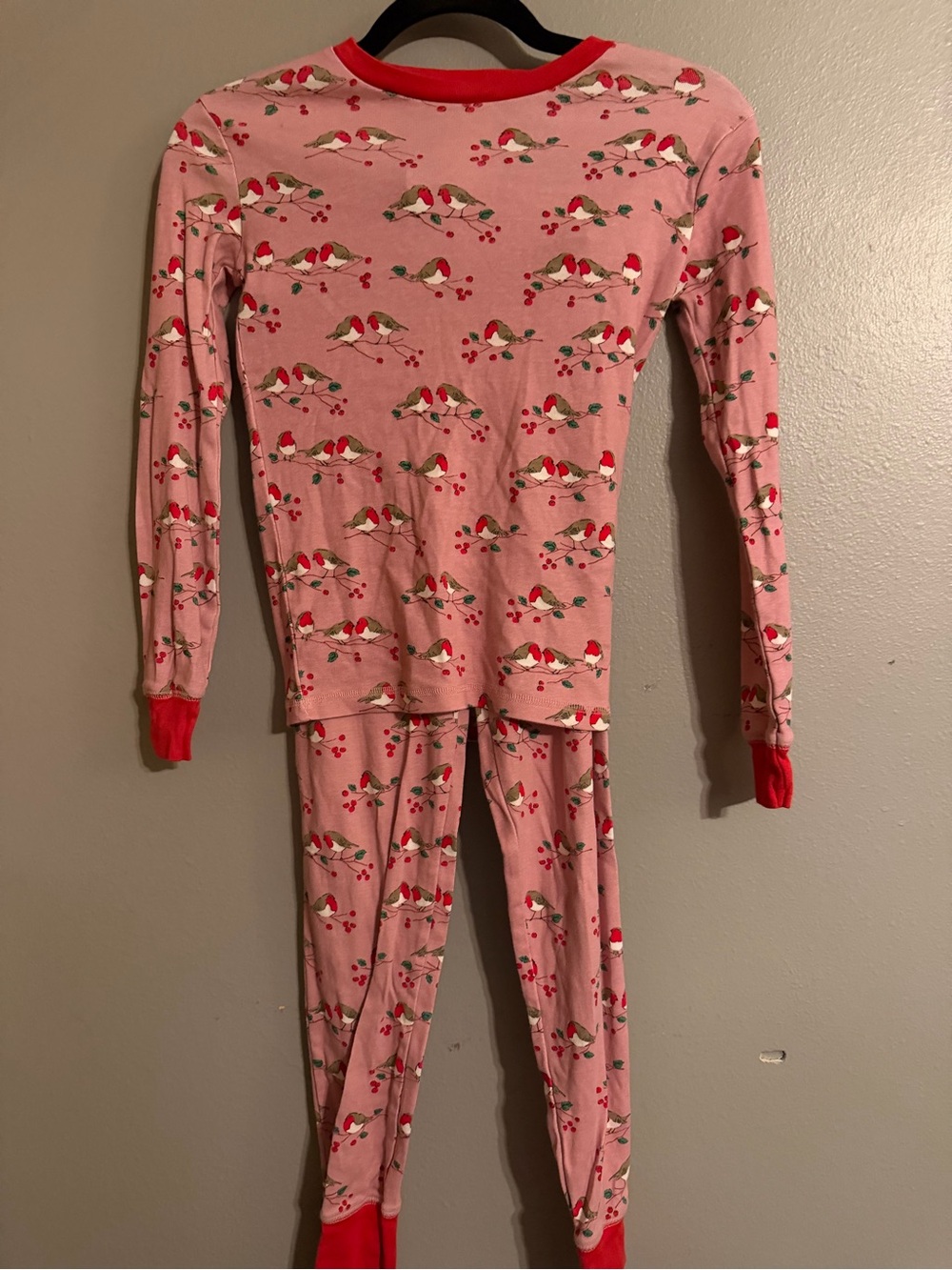 Mini Boden Pink Bird and Berry Pajama Set with Red Trim